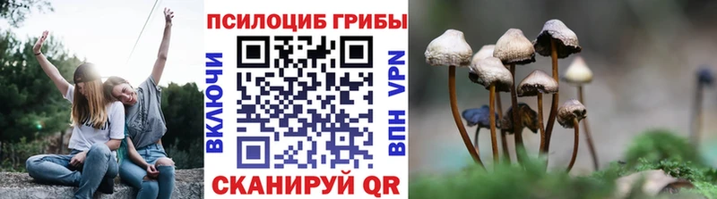 Псилоцибиновые грибы Magic Shrooms  Кунгур 