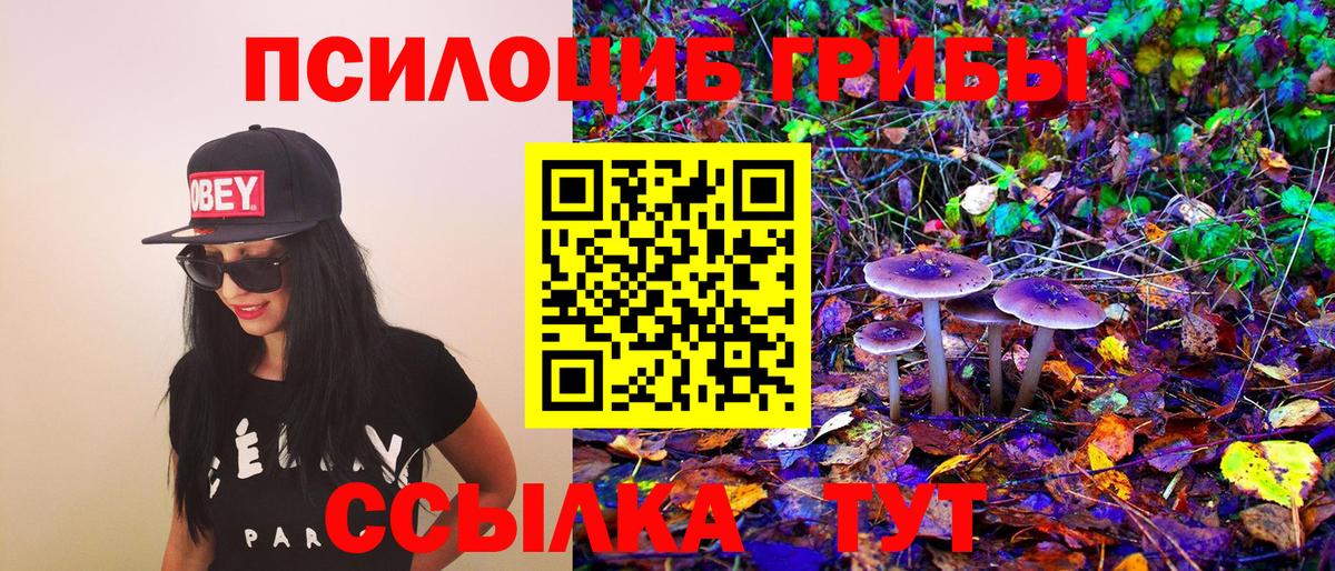 Галлюциногенные грибы ЛСД  Вход с VPN  Кунгур 
